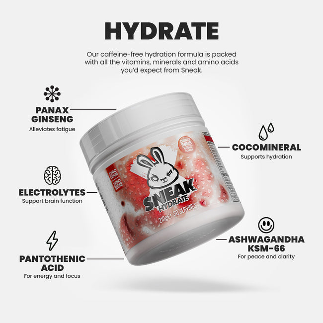 Sneak Hydrate 30 Serving Tub