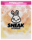 Raspberry Lemonade Hydrate-image